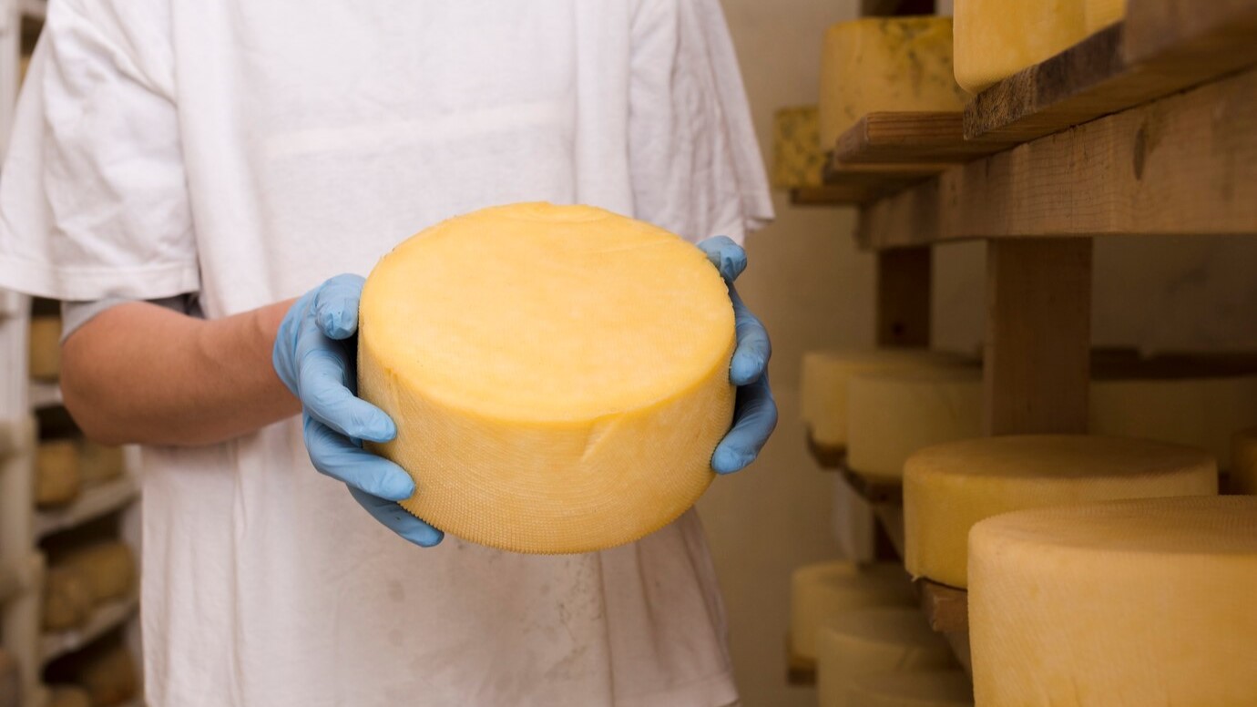 man-holding-cheese-roll-low-lactose